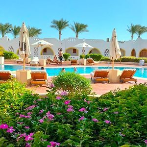 Double Room Terrace